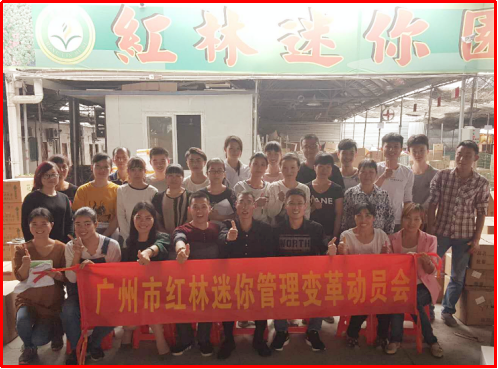 泽亚咨询之热烈祝贺广州红林迷你园艺咨询项目启动