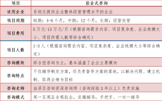 驻企式咨询具特点