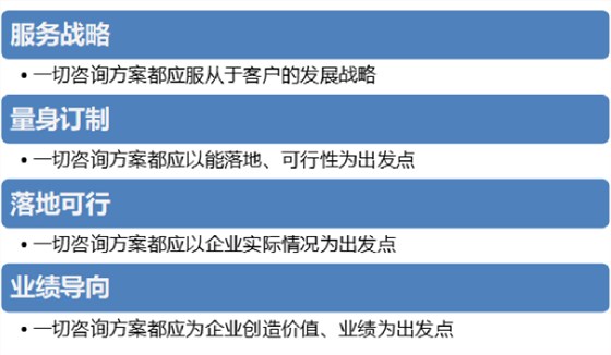 泽亚团队的咨询观