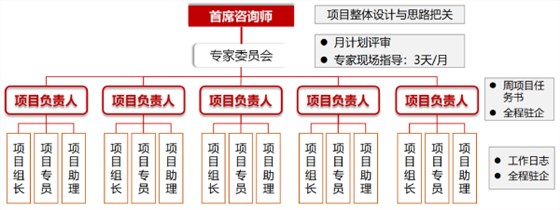 三级咨询服务管理体系