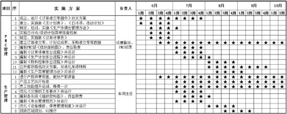 项目总进程表