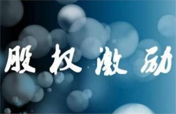 如何设计股权激励的有效性？