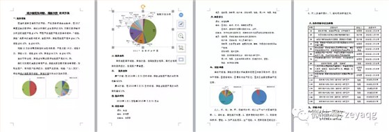 泽亚咨询之温州RR电气有限公司项目攻关阶段战果侧记