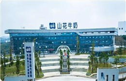 泽亚咨询助力SL乳业规范薪酬体系、完善管理制度