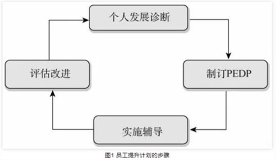 微信截图_20231225155547