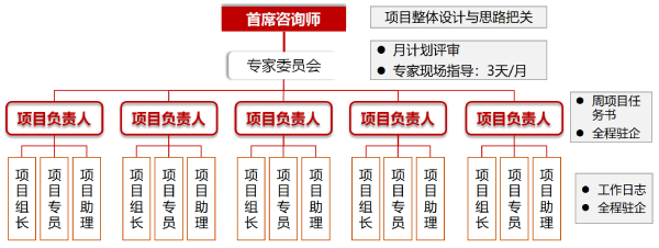 三级咨询服务管理体系