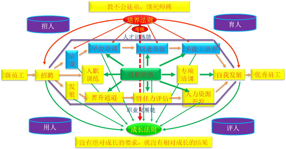 人才训练模型图