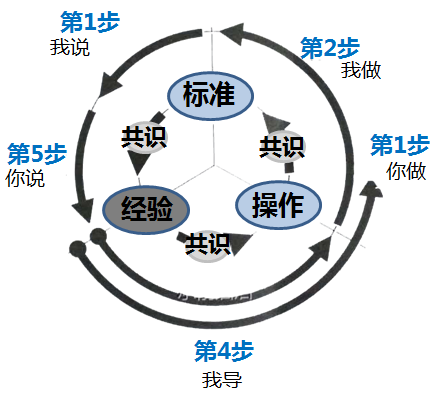 训练5步骤模型