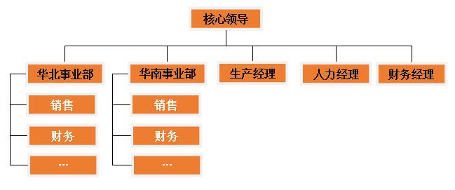 区域事业部制组织架构