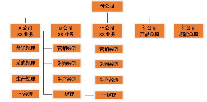 集团化组织架构